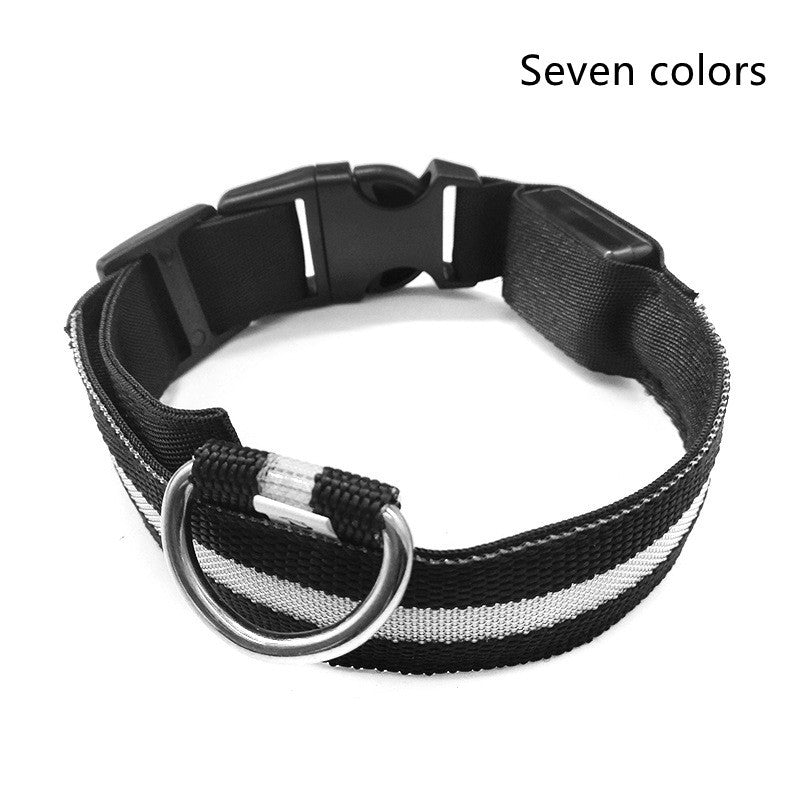 Pet Luminous LED Collar - The Pawfect Bargains