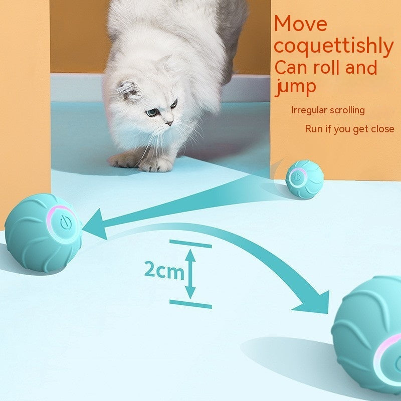 Smart, interactive, automatic rolling ball - The Pawfect Bargains