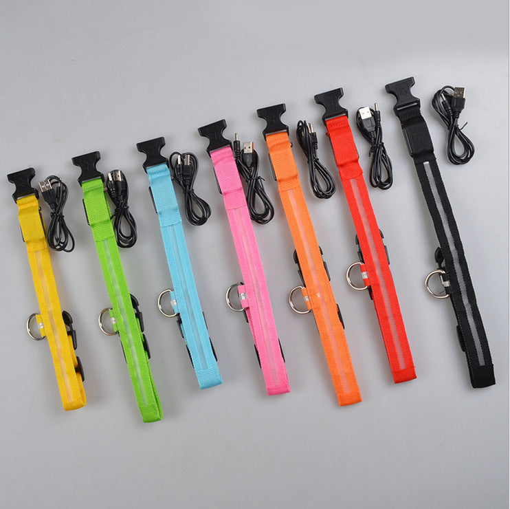 Pet Luminous LED Collar - The Pawfect Bargains