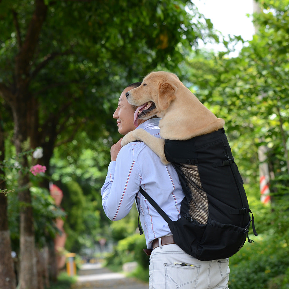Man walking with a dog on his back in a park-like setting