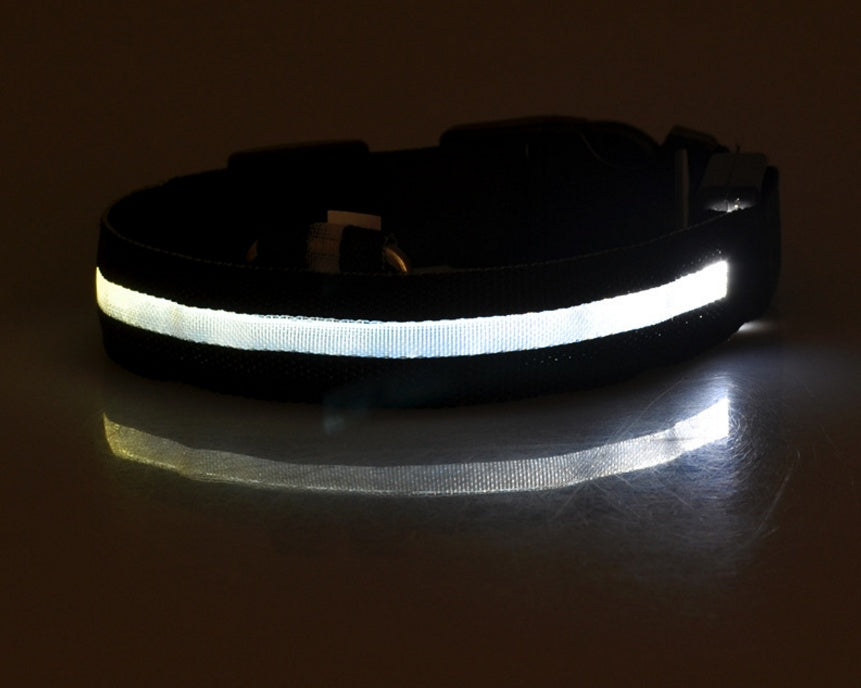 Pet Luminous LED Collar - The Pawfect Bargains