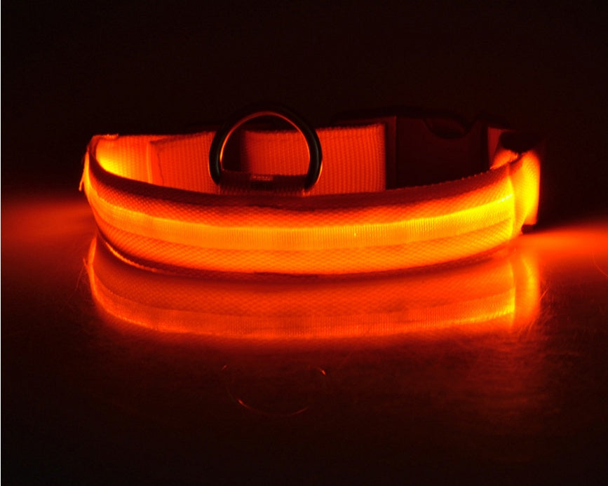 Pet Luminous LED Collar - The Pawfect Bargains