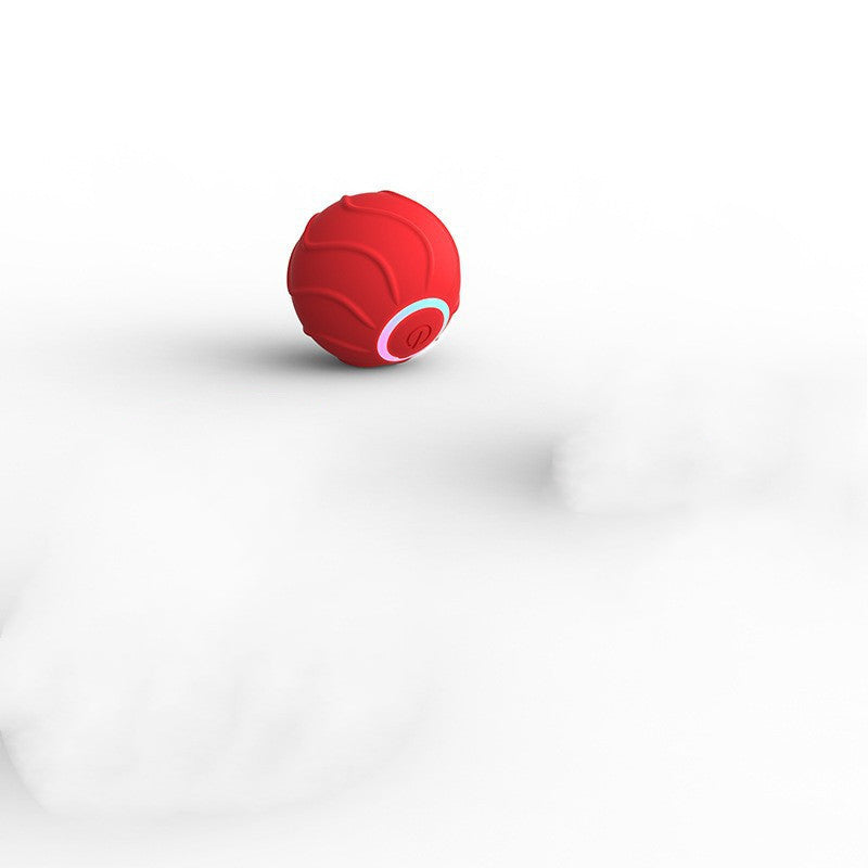 Smart, interactive, automatic rolling ball - The Pawfect Bargains