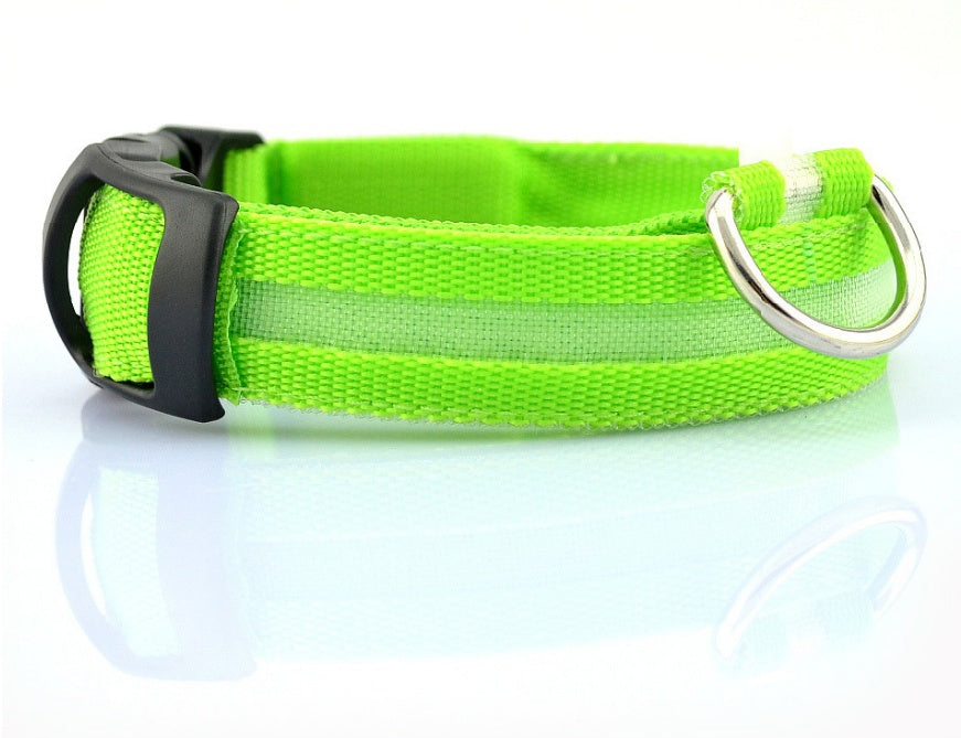 Pet Luminous LED Collar - The Pawfect Bargains