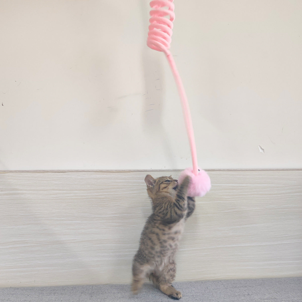 Cat playing with a pink cat toy against a white wall.