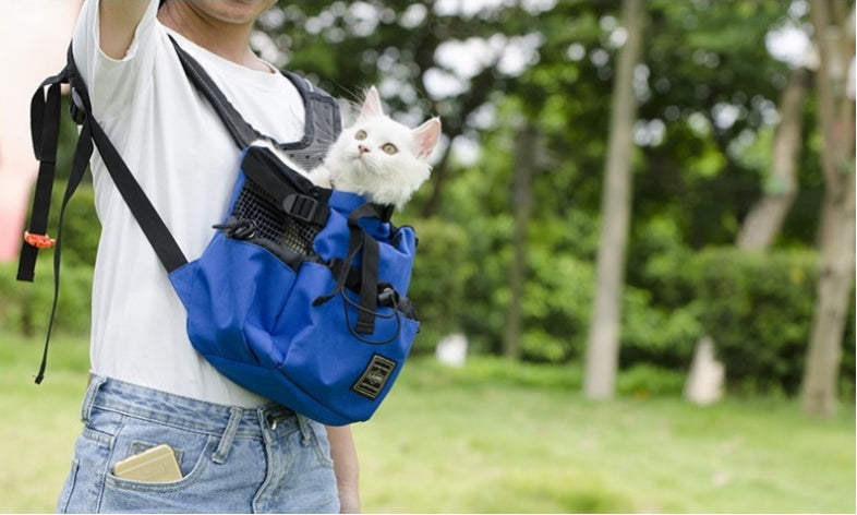 Person carrying a white cat in a blue backpack outdoors