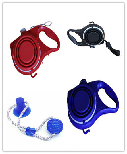 Four retractable dog leashes in red, black, blue, and a blue ball with leash on a white background.