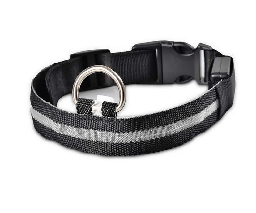 Pet Luminous LED Collar - The Pawfect Bargains