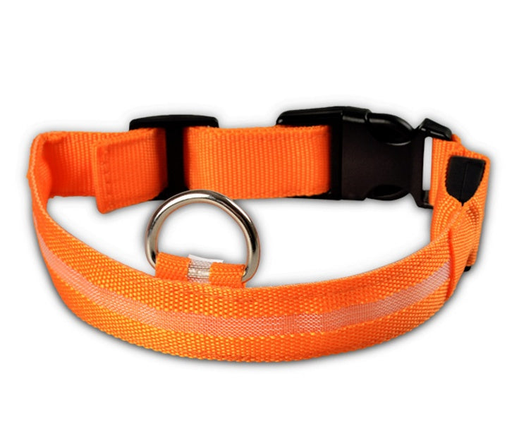Pet Luminous LED Collar - The Pawfect Bargains