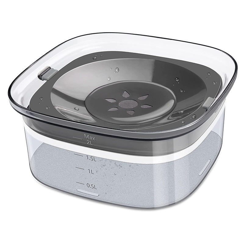 Clear container with a gray lid on a white background