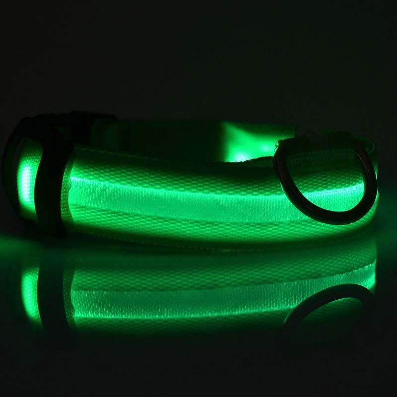 Pet Luminous LED Collar - The Pawfect Bargains