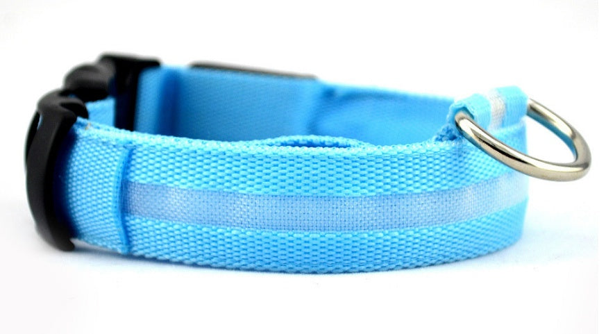 Pet Luminous LED Collar - The Pawfect Bargains