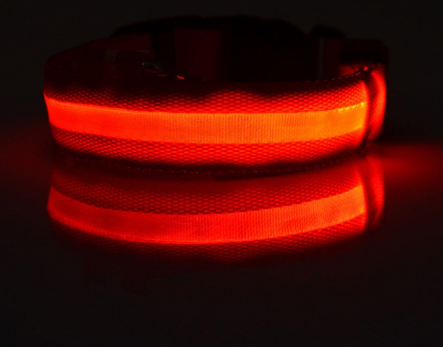 Pet Luminous LED Collar - The Pawfect Bargains