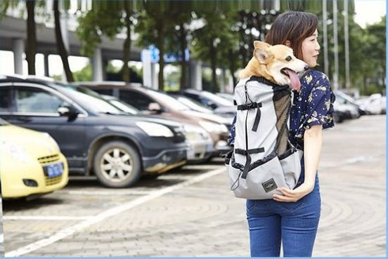 Woman carrying a dog in a backpack on a street with cars and trees in the background