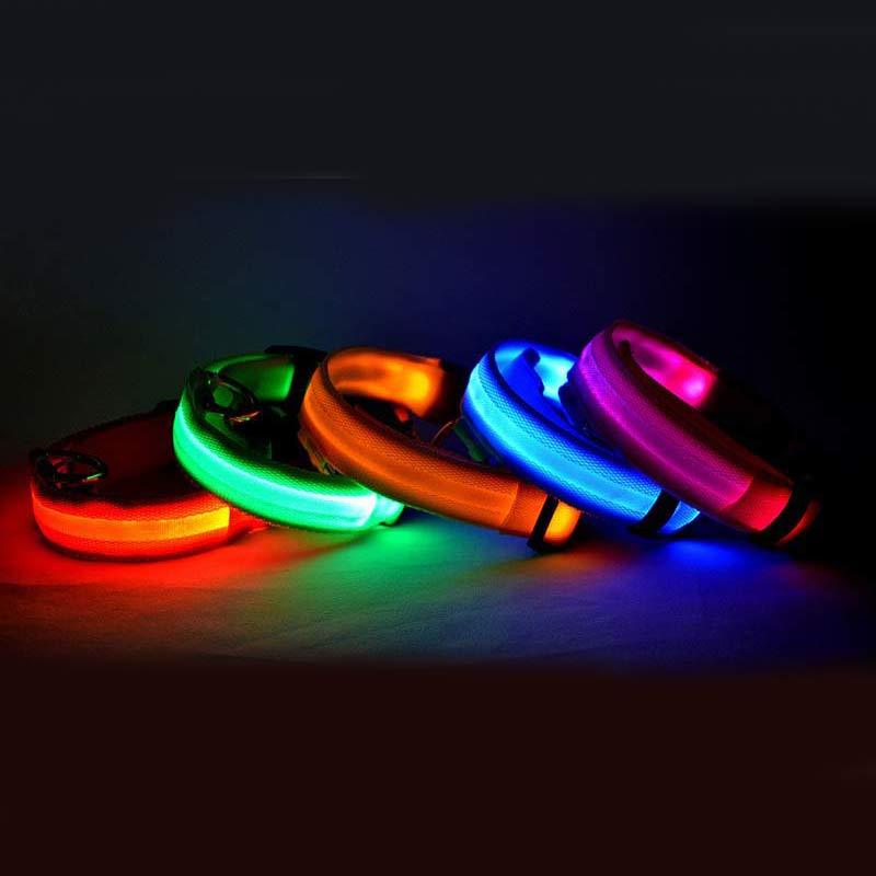 Pet Luminous LED Collar - The Pawfect Bargains
