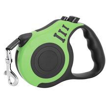 Green and black retractable dog leash on a white background