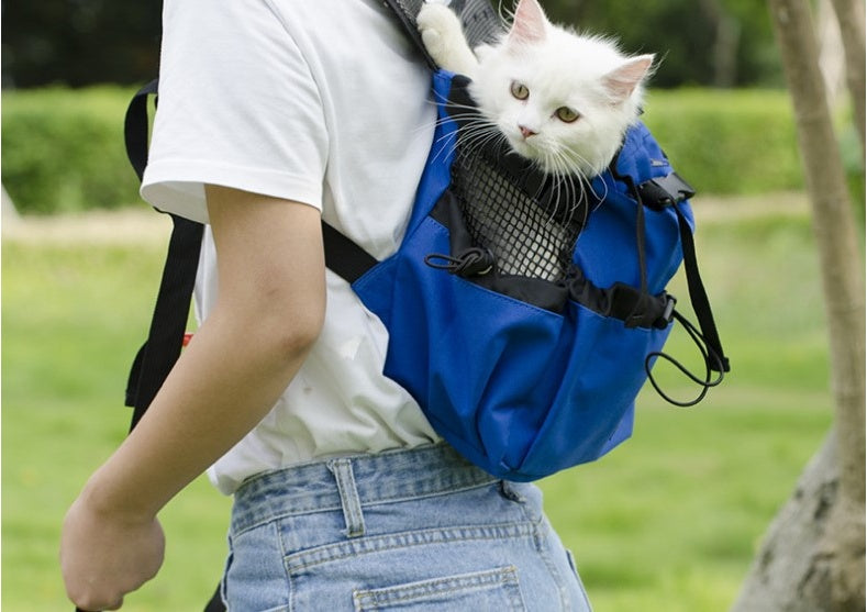 Person carrying a white cat in a blue backpack outdoors