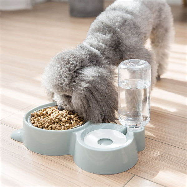 Dog eating from a bowl with a water dispenser on a wooden floor