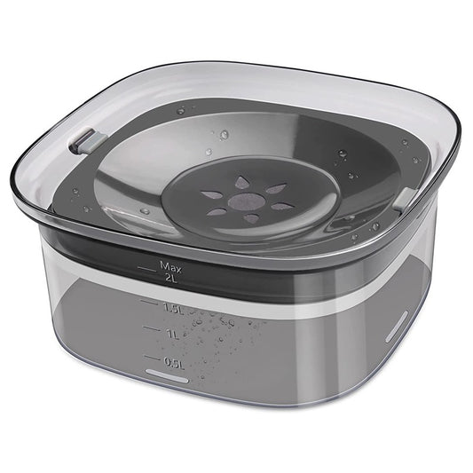 Clear container with a gray lid on a white background