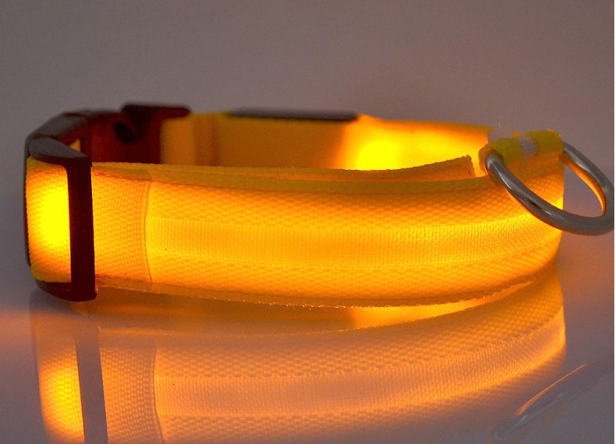 Pet Luminous LED Collar - The Pawfect Bargains