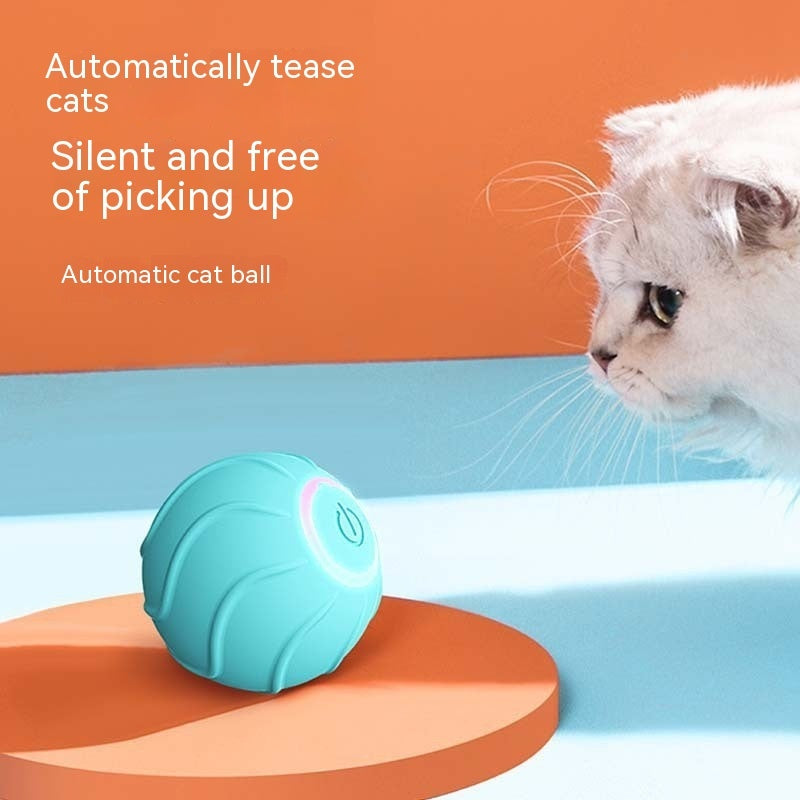 Smart, interactive, automatic rolling ball - The Pawfect Bargains