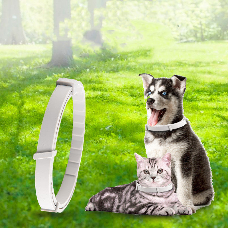 Pet anti-mosquito, insect repellant Collar - The Pawfect Bargains