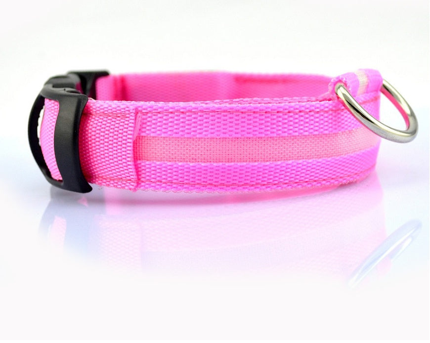 Pet Luminous LED Collar - The Pawfect Bargains