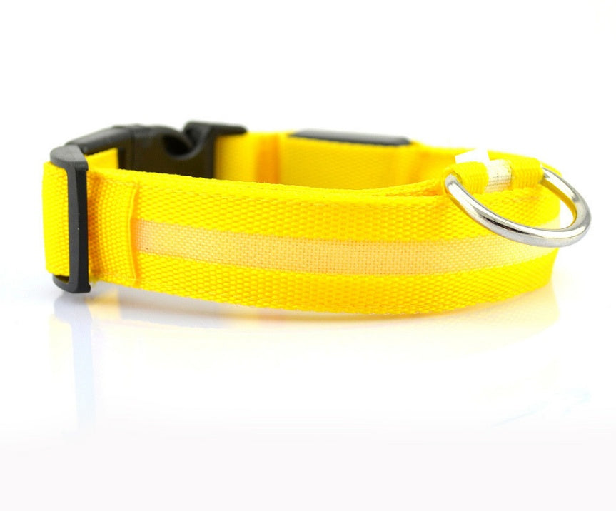 Pet Luminous LED Collar - The Pawfect Bargains