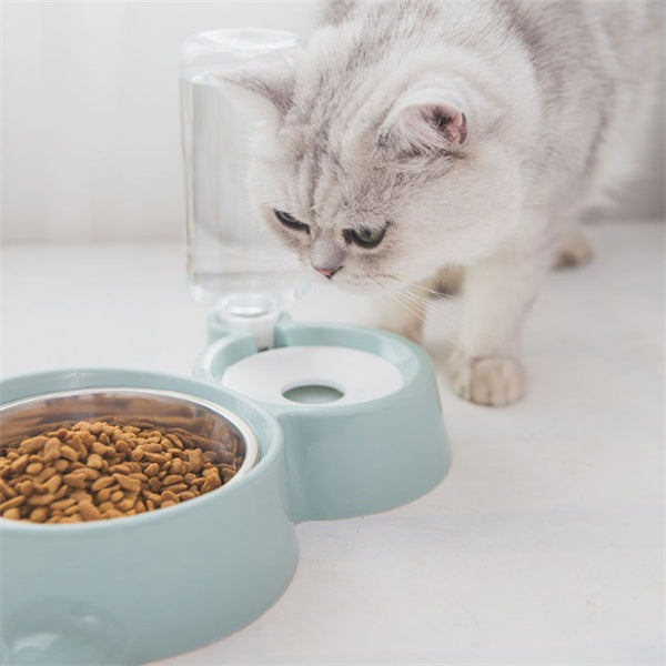 Cat eating from a blue bowl with another bowl of food on a white surface