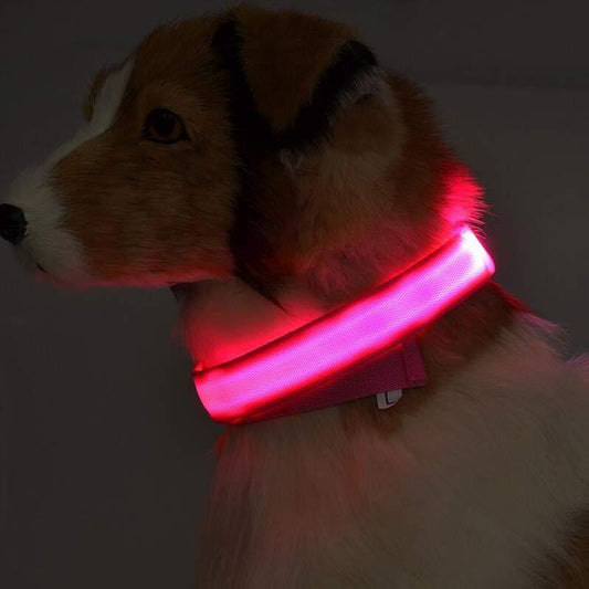 Pet Luminous LED Collar - The Pawfect Bargains