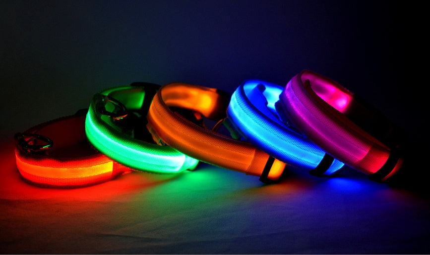 Pet Luminous LED Collar - The Pawfect Bargains
