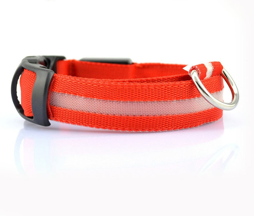 Pet Luminous LED Collar - The Pawfect Bargains