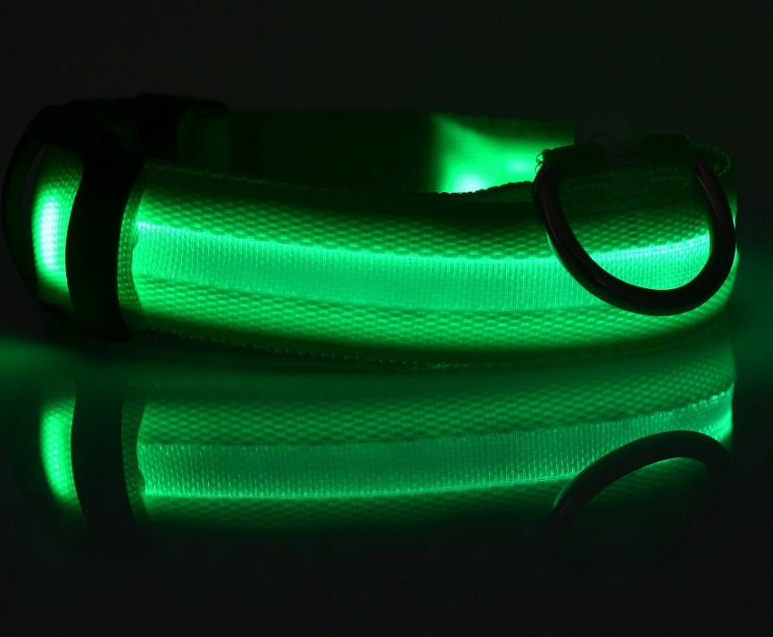 Pet Luminous LED Collar - The Pawfect Bargains