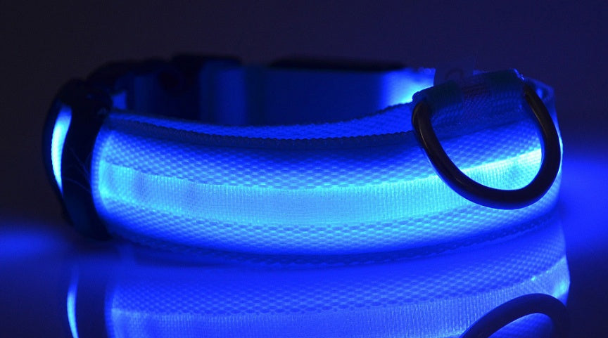 Pet Luminous LED Collar - The Pawfect Bargains
