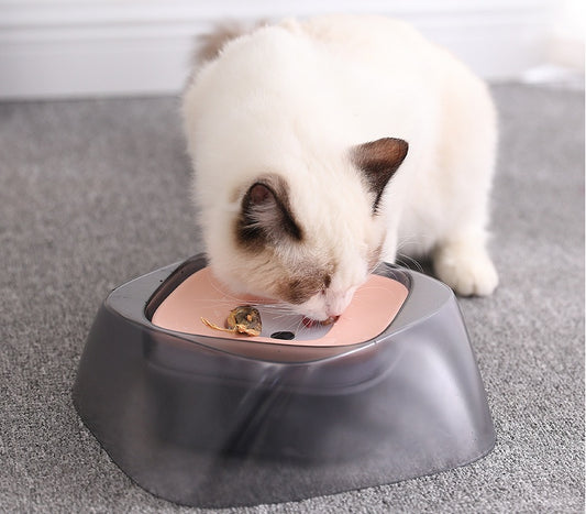 Cat eating from a modern pet feeder on a carpeted floor