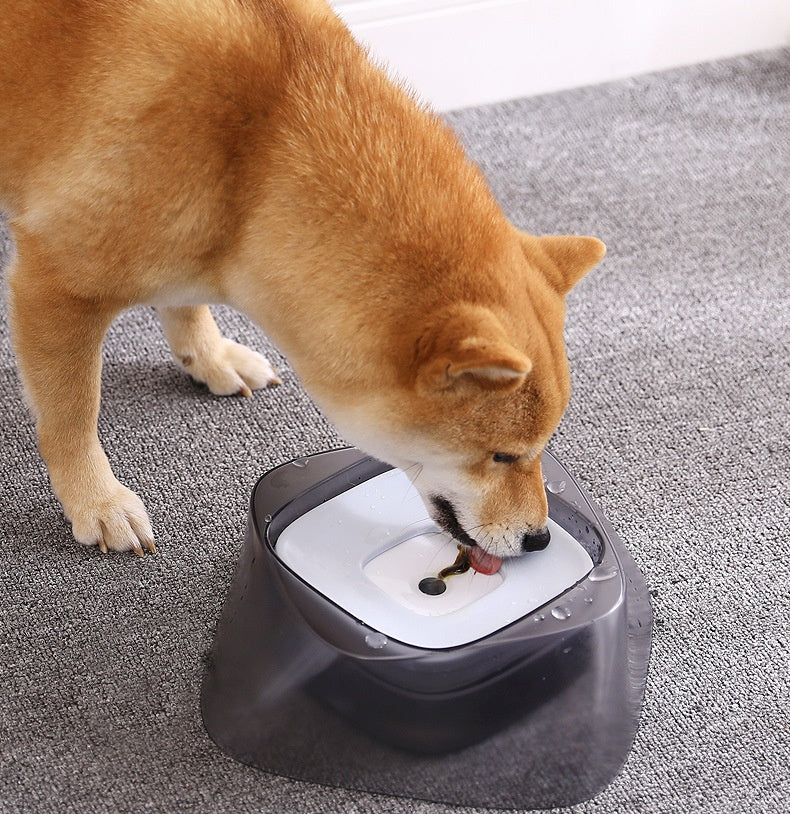Dog interacting with a pet food dispenser on a carpeted floor