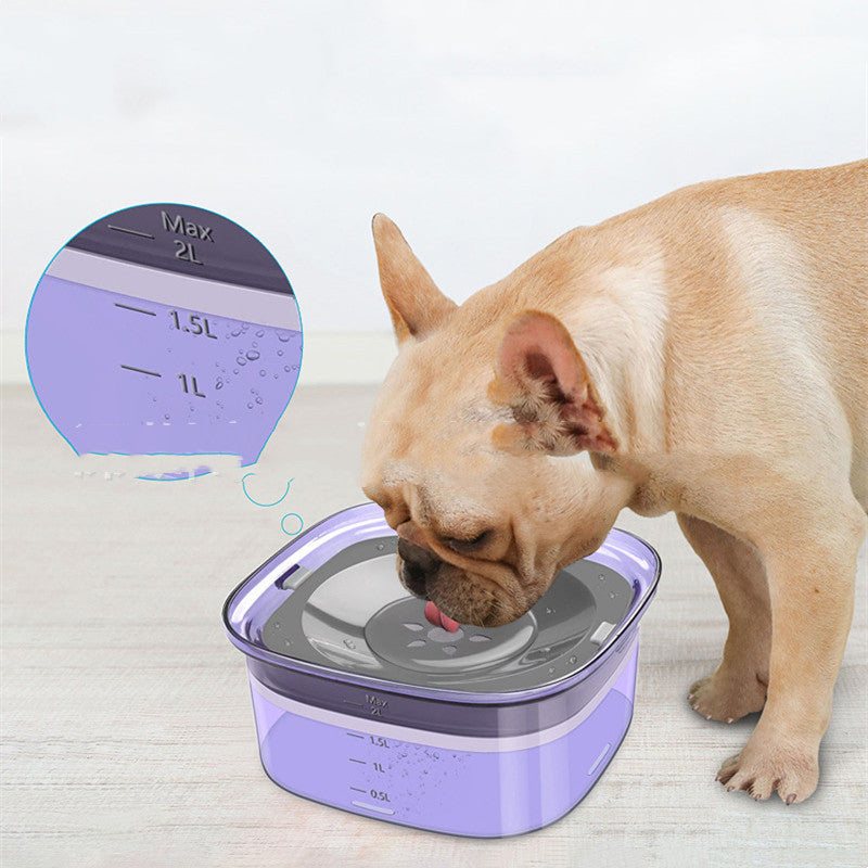 Dog drinking from a purple water bowl with a capacity indicator on a light gray background