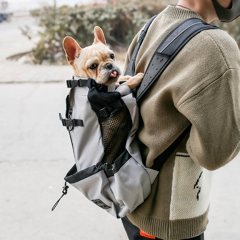 Person carrying a small dog in a backpack with a blurred outdoor background