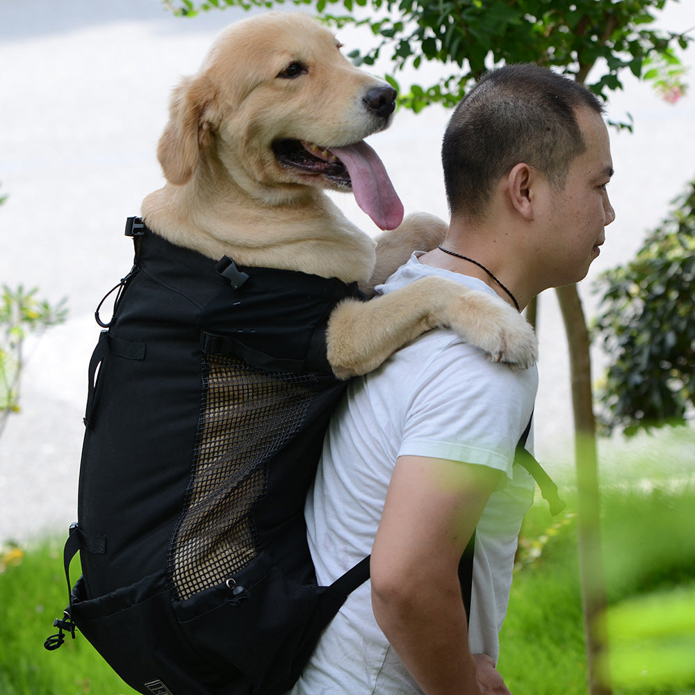 Man carrying a large dog on his back in an outdoor setting
