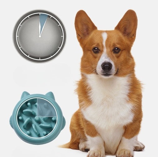 Pet Slow Feeder Bowls - The Pawfect Bargains