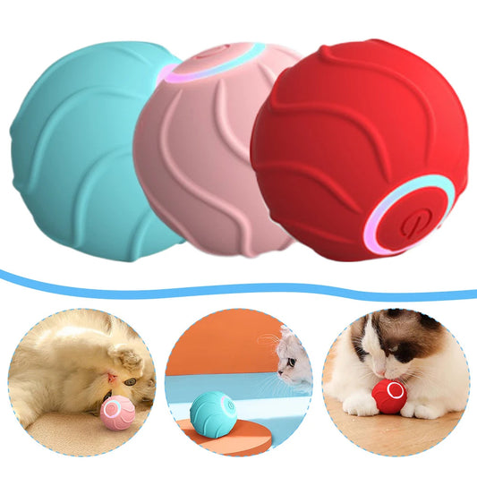 Smart, interactive, automatic rolling ball - The Pawfect Bargains