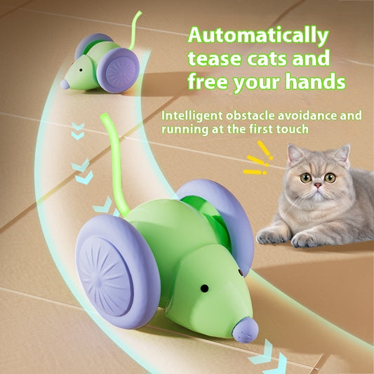 Interactive Electric Mouse Car - A fun teaser toy - The Pawfect Bargains