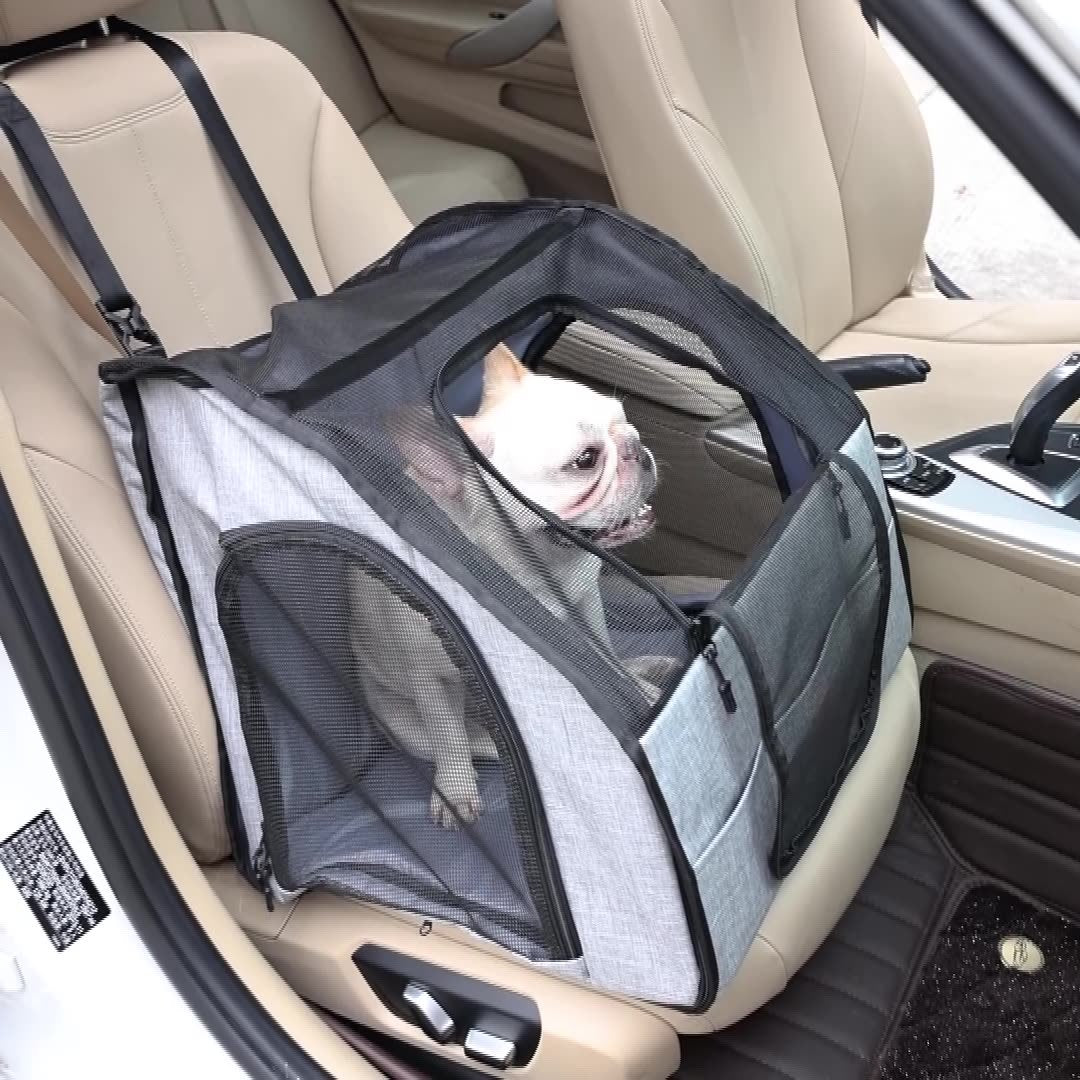 Pet carrier with a dog inside on a car seat