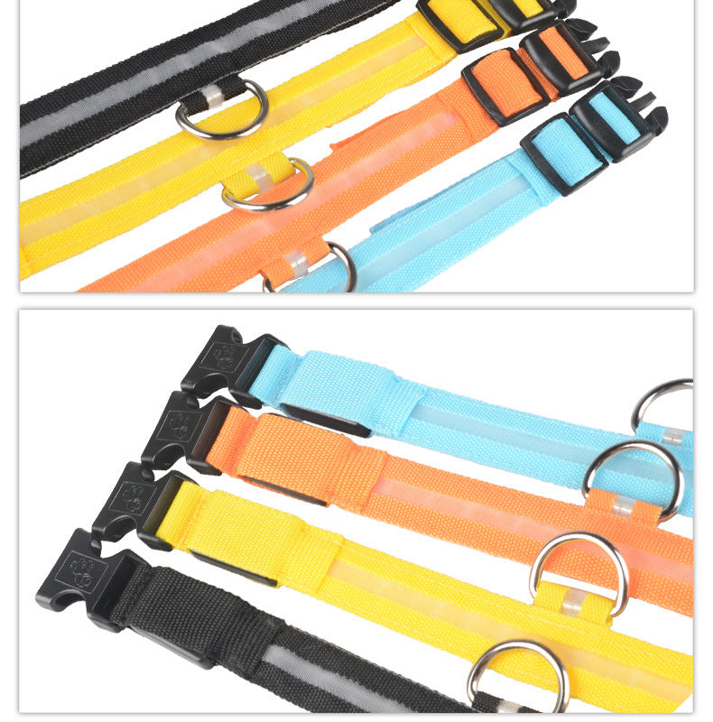 Pet Luminous LED Collar - The Pawfect Bargains