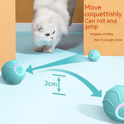 Smart, interactive, automatic rolling ball - The Pawfect Bargains