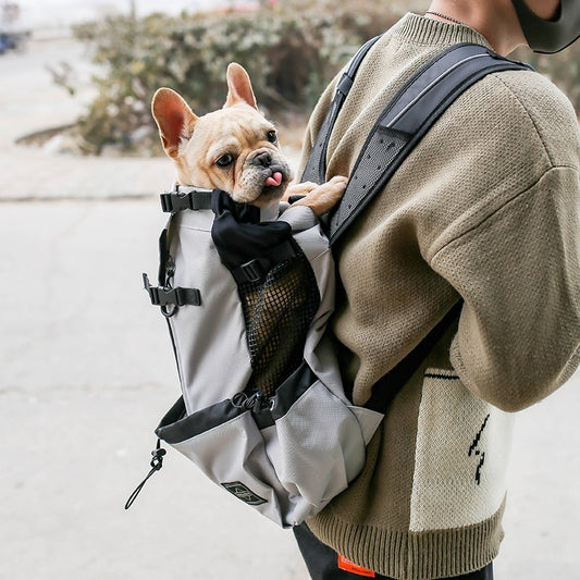 Person carrying a small dog in a backpack with a blurred outdoor background
