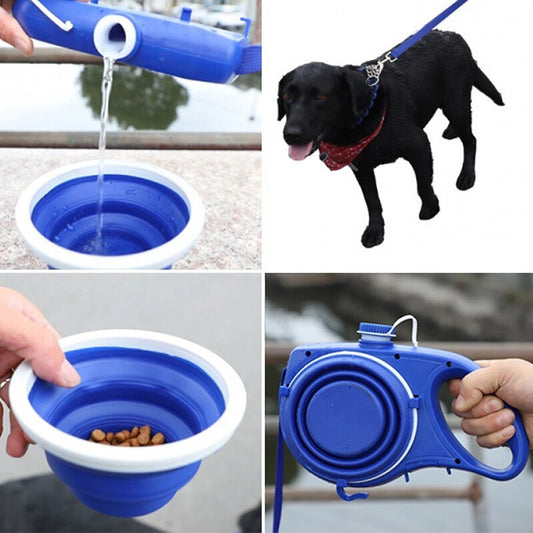 Collage of a blue pet water bottle, dog on a leash, and blue pet bowl with food.