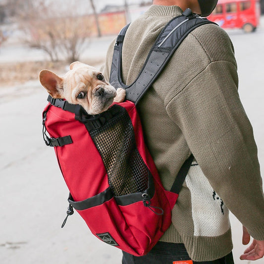Person wearing a red backpack with a small dog peeking out, walking on a street.