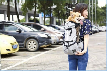 Woman carrying a dog in a backpack on a street with cars and trees in the background