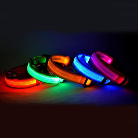 Pet Luminous LED Collar - The Pawfect Bargains